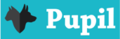 pupil logo